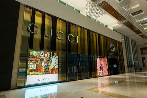 gucci panama website.